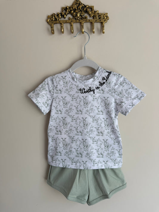 Worthy is the Lamb boy set